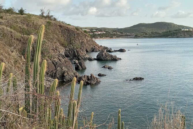 St.Martin - St. Maarten: Small Group, Coastal Hike & Swim Tour - Snorkeling in a calm bay: what to expect and how to get the most out of it