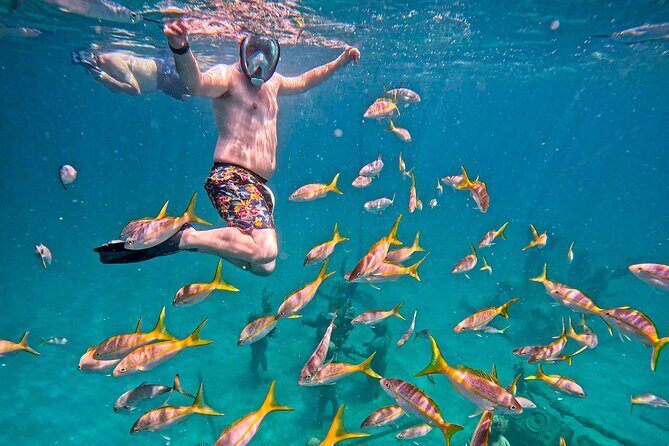 The Original Underwater Sculpture Park Snorkel Tour - How the snorkel portion works at Under SXM