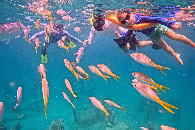 The Original Underwater Sculpture Park Snorkel Tour - Timing that works for cruise days: 3 departures, a fast return