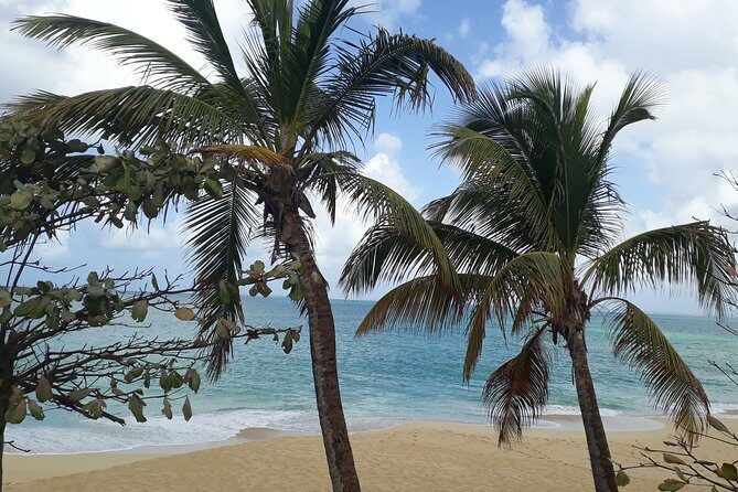 The Soul Of Pirates Boat Trip Adventure Caribbean Charter Full Day SXM - Turtle swim moment: what it’s like and why it’s meaningful