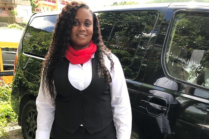 Transfer Services on St Maarten - The Ride Itself: Air-Con Comfort, WiFi, and Friendly Conversations