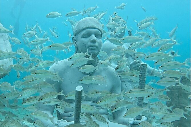 Underwater Sculpture Park Snorkel Adventure - Key Things I’d Plan Around