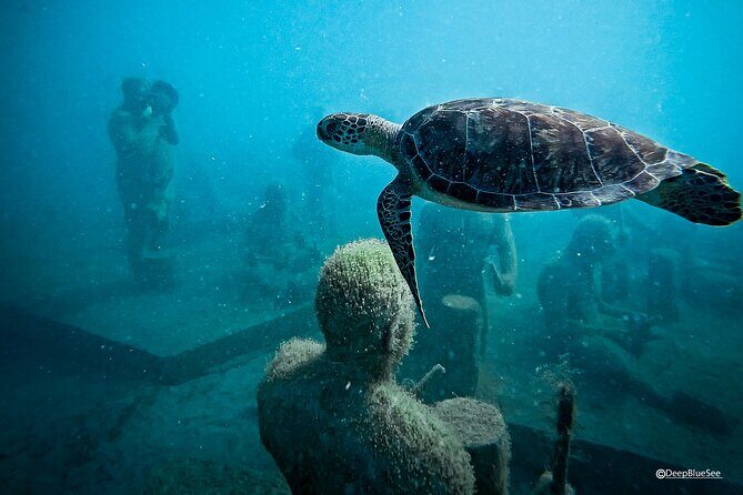 Underwater Sculpture Park Snorkel Adventure - Under SXM Underwater Sculpture Park: What You’ll See Under the Surface