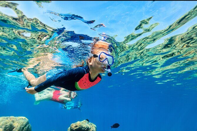 Underwater Sculpture Park Snorkel Adventure - Safety and Comfort Details You Should Not Ignore