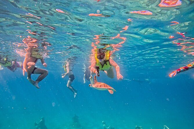 Underwater Sculpture Park Snorkel Adventure - Best Conditions: When the Water Helps You See the Art
