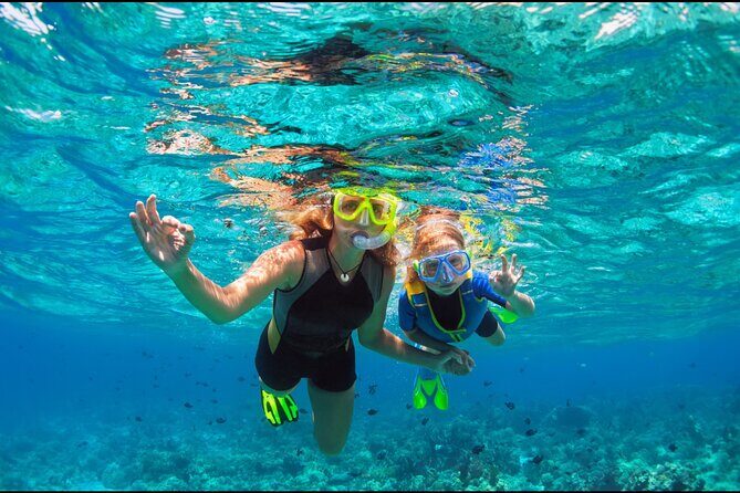 Underwater Sculpture Park Snorkel Adventure - The Setup at Divi Little Bay: Check-In, Boat Ride, and Group Size